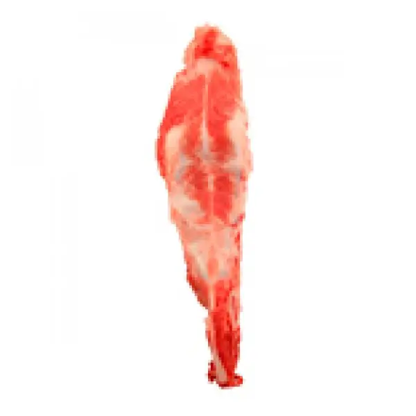 FROZEN PORK STERNUM BONE